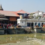 Photo taken by Greg C