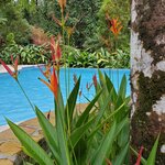 Photo taken by Garritt V