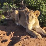 Photo taken by Kaye D