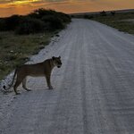 Photo taken by Peter L