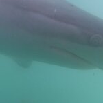 Photo taken by Kolla S