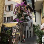 Photo taken by Laurie W