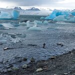 Photo taken by Marsha B