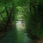 Photo taken by Eric T