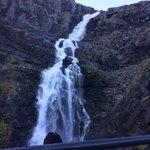 Photo taken by Sharon S