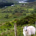 Photo taken by Jean M