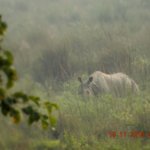 Photo taken by Wayne D