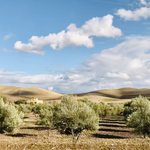 Photo taken by Laura M