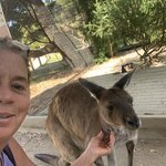 Photo taken by Julie H