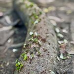 Photo taken by Sophie F