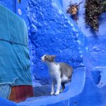 Photo taken by Shelley H