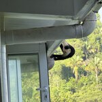 Photo taken by Kelley S