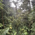 Photo taken by Peter B