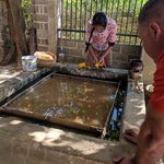 Photo taken by Stephen M