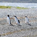 Photo taken by Raj M