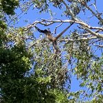 Photo taken by Cindy R