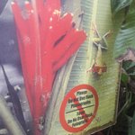 Photo taken by Claudia S