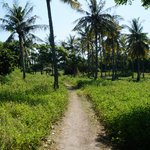 Photo taken by Alexandra G