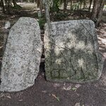 Photo taken by Tatiana F