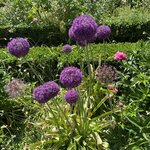 Photo taken by Christopher Paul T