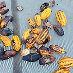 Photo taken by Marcia G