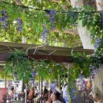 Photo taken by Ashley S