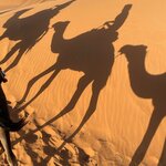 Photo taken by Patty N