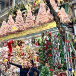 Photo taken by Carol F