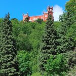 Photo taken by George N