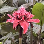 Photo taken by Patrice G