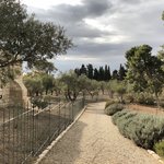 Photo taken by Marion M