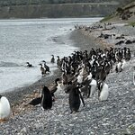 Photo taken by Yelena L