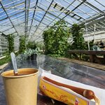 Photo taken by Scott C