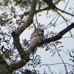 Photo taken by Bonnie Y