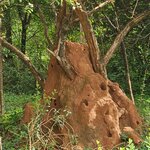 Photo taken by Tanya G