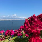 Photo taken by Nisah M