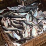 Photo taken by Ricky B