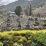 Photo taken by Ray R