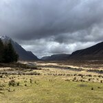 Photo taken by Marcy B