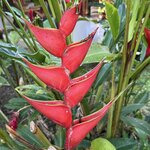 Photo taken by Carrie N