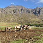 Photo taken by Yumi A