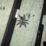 Photo taken by nikunj g