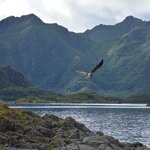 Photo taken by paolo c