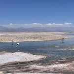 Photo taken by Eric H