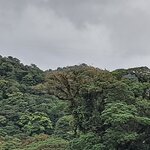 Photo taken by Jennifer G