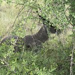 Photo taken by Jeanine B