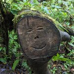 Photo taken by David G