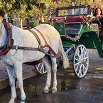 Photo taken by Nayyar A