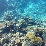 Photo taken by Susan D