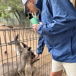 Photo taken by Cindy H